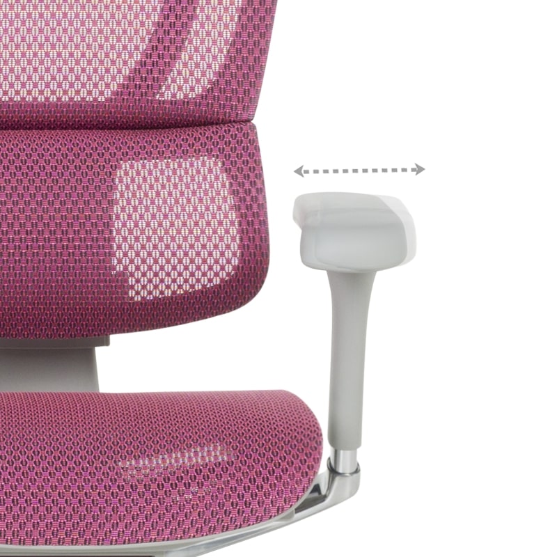 Ергономичен стол IOO Elite 2 сива рамка-розов